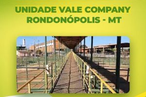Comercial Vale Carnes